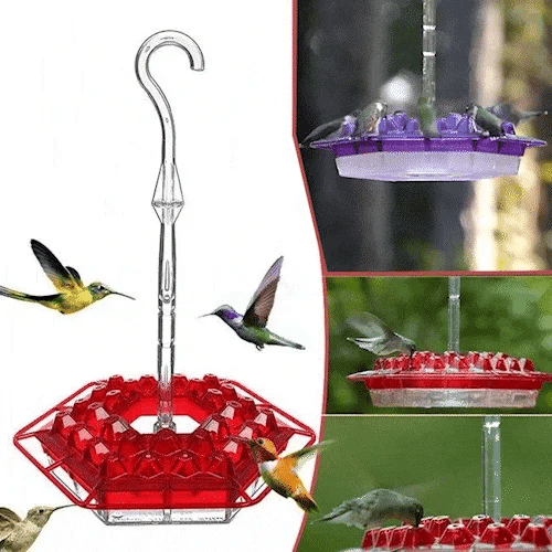 💥Last Day Sale 60% OFF🎁 Hanging Outdoor Hummingbird Feeder🐦