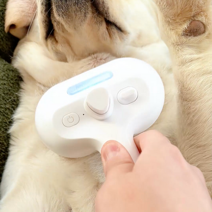 Pawzioo™ Viral Steam Brush（Limited Time Discount 🔥 Last Day）