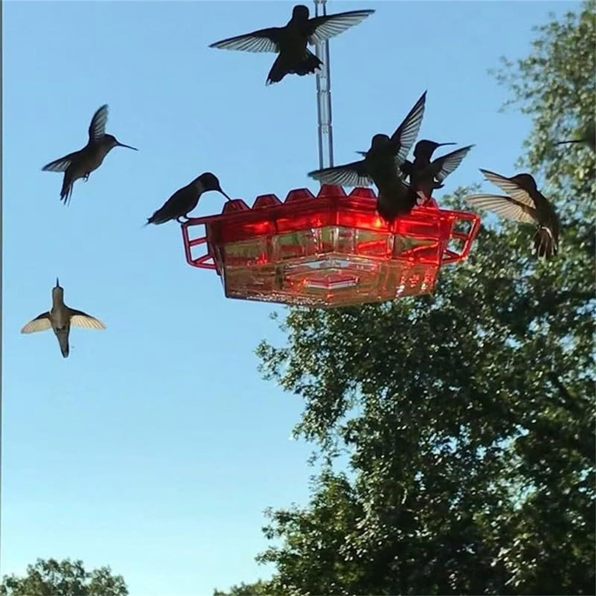 💥Last Day Sale 60% OFF🎁 Hanging Outdoor Hummingbird Feeder🐦