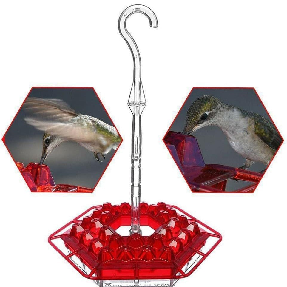 💥Last Day Sale 60% OFF🎁 Hanging Outdoor Hummingbird Feeder🐦