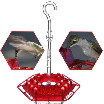 💥Last Day Sale 60% OFF🎁 Hanging Outdoor Hummingbird Feeder🐦