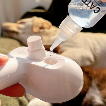Pawzioo™ Viral Steam Brush（Limited Time Discount 🔥 Last Day）