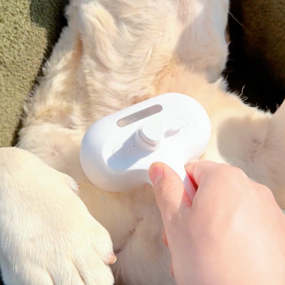 Pawzioo™ Viral Steam Brush（Limited Time Discount 🔥 Last Day）