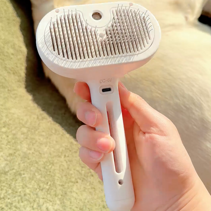 Pawzioo™ Viral Steam Brush（Limited Time Discount 🔥 Last Day）