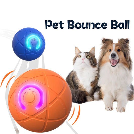 ✨2026 New Release -50% Off - Pet Bounce Ball for Cats🐱 & Dogs🐶