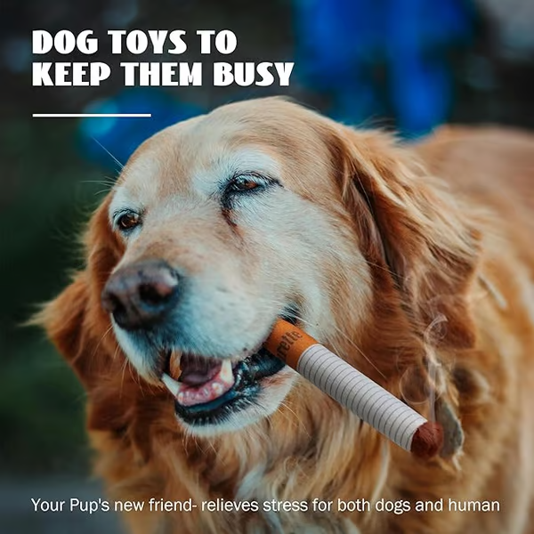 Puppy Cigar Box Chew Toy - Set of 3 Squeaky Plush Cigars with Secret Treat Hideout
