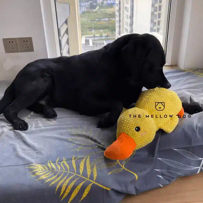 LAST DAY SALE-55% OFF 🔥 Bluedskyn® Calming Duck Toy