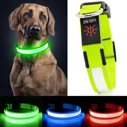 High-Brightness LED Dog Collar – Durable & Rechargeable
