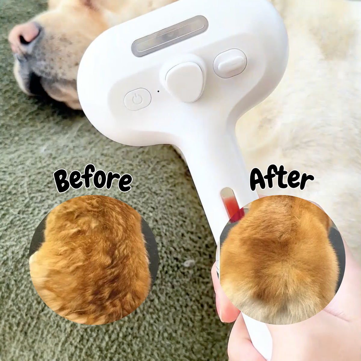 Pawzioo™ Viral Steam Brush（Limited Time Discount 🔥 Last Day）