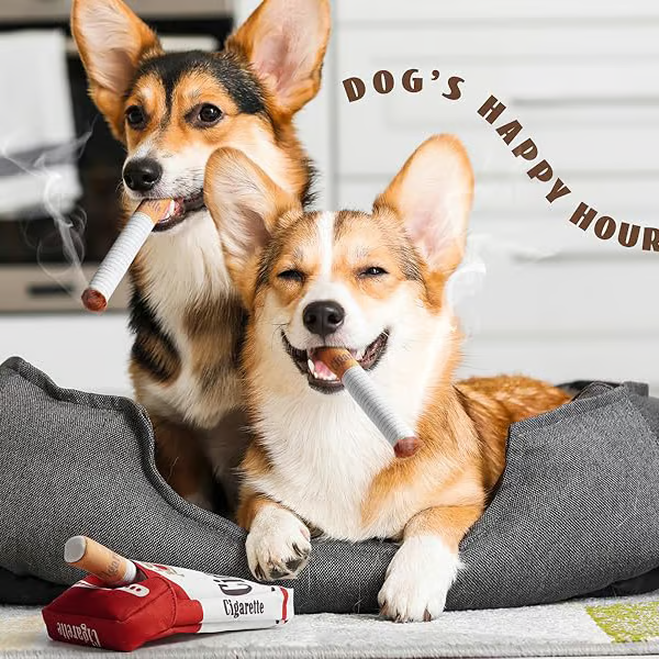 Puppy Cigar Box Chew Toy - Set of 3 Squeaky Plush Cigars with Secret Treat Hideout
