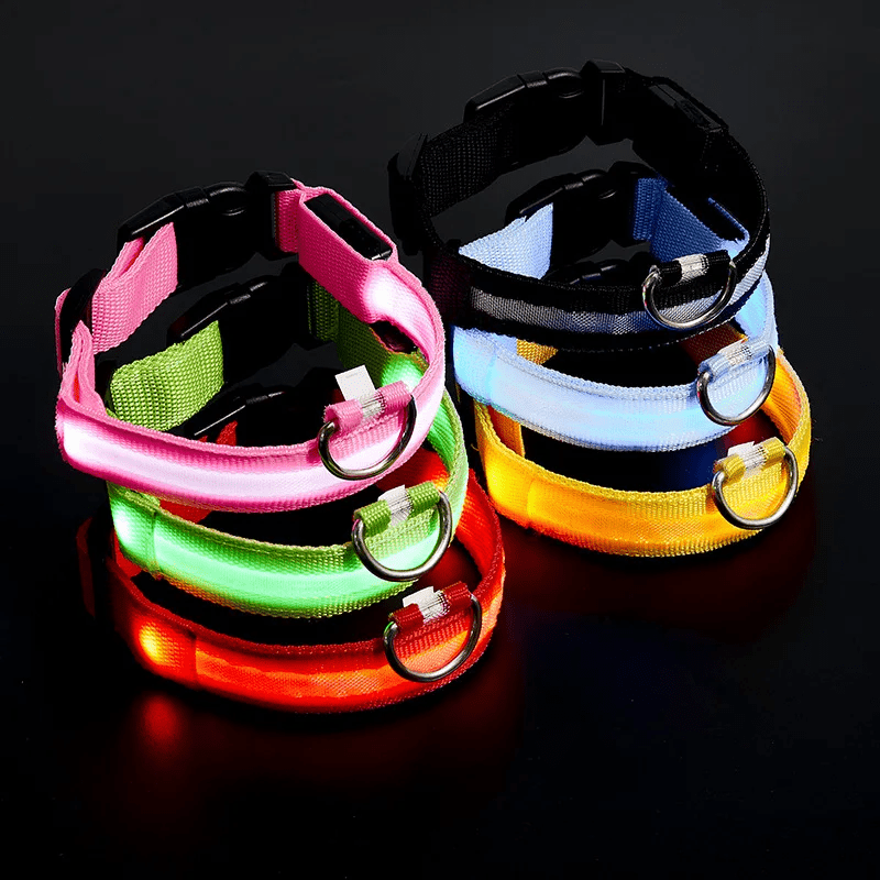 High-Brightness LED Dog Collar – Durable & Rechargeable