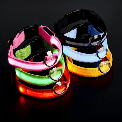 High-Brightness LED Dog Collar – Durable & Rechargeable