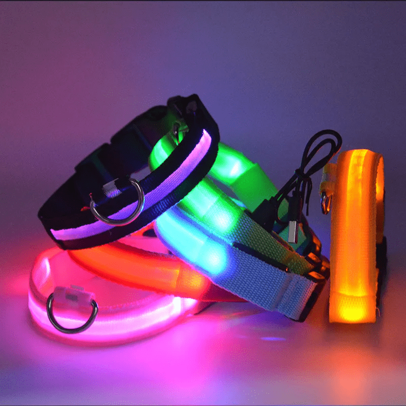 High-Brightness LED Dog Collar – Durable & Rechargeable