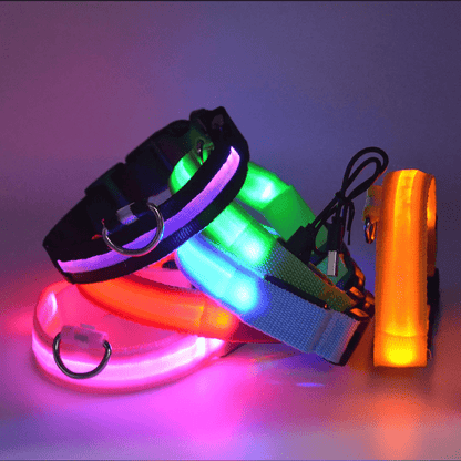 High-Brightness LED Dog Collar – Durable & Rechargeable