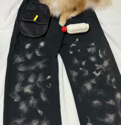 Buy 1 Get 1 Free🔥 Upgrade  Electrostatic Pet Hair Removal Grooming Gloves 🐾