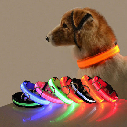 High-Brightness LED Dog Collar – Durable & Rechargeable