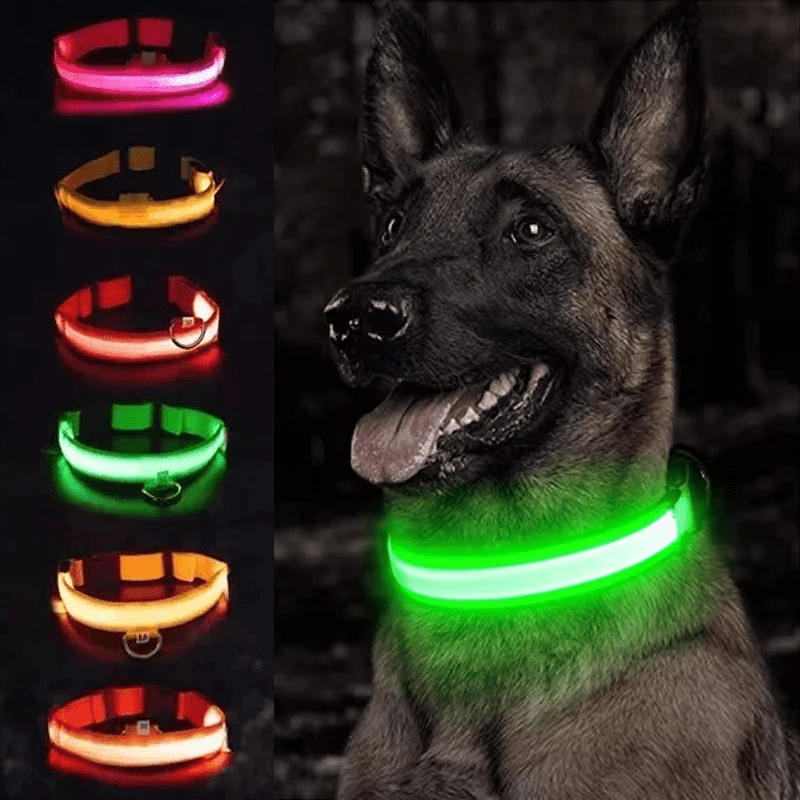 High-Brightness LED Dog Collar – Durable & Rechargeable