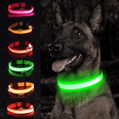 High-Brightness LED Dog Collar – Durable & Rechargeable
