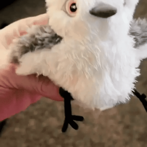 🦅 The Playful Companion that Comes to Life
