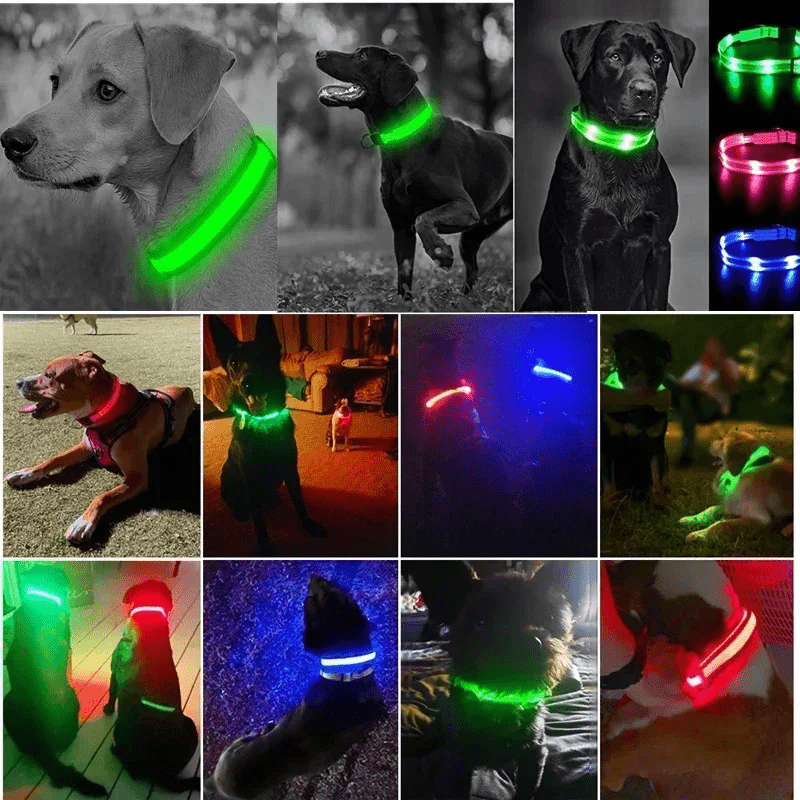 High-Brightness LED Dog Collar – Durable & Rechargeable