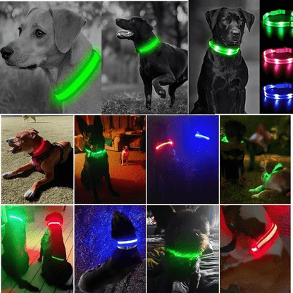 High-Brightness LED Dog Collar – Durable & Rechargeable
