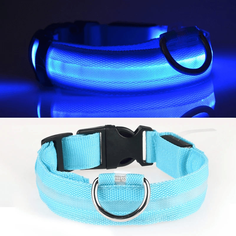 High-Brightness LED Dog Collar – Durable & Rechargeable