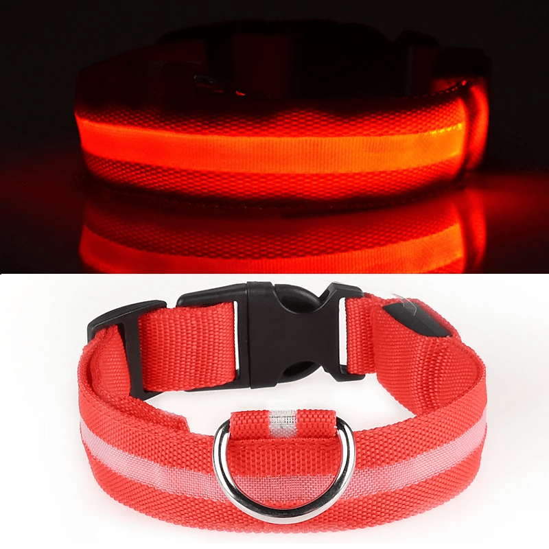 High-Brightness LED Dog Collar – Durable & Rechargeable