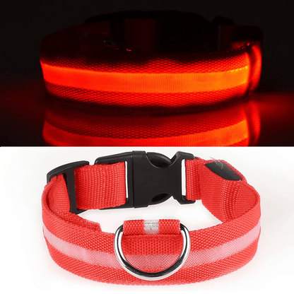 High-Brightness LED Dog Collar – Durable & Rechargeable